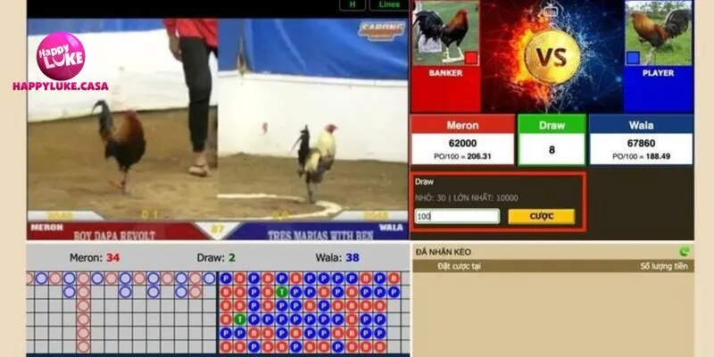 Cá cược đá gà cựa dao mang đến khoản lợi nhuận ấn tượng